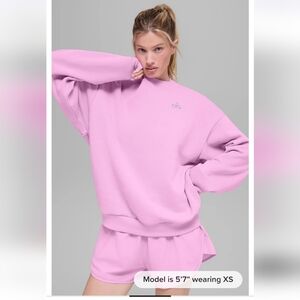 Accolade Crew Neck Pullover XXS